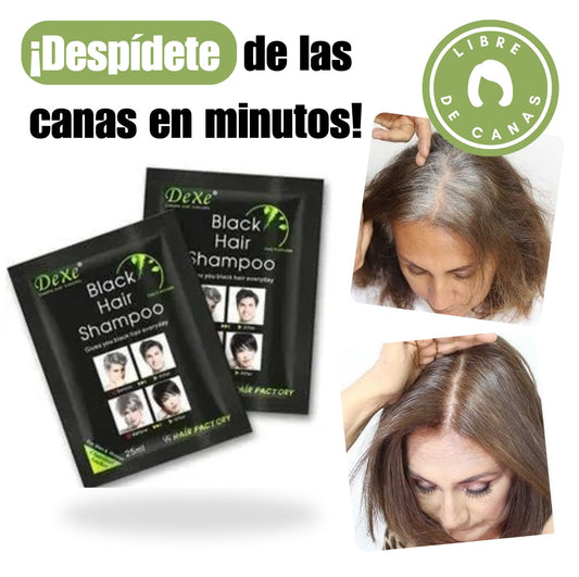 Di adiós a las canas, rejuvenece tu look y cuida tu cabello sin maltratarlo